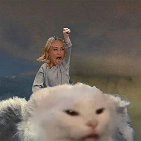 Cat Meme With Lady