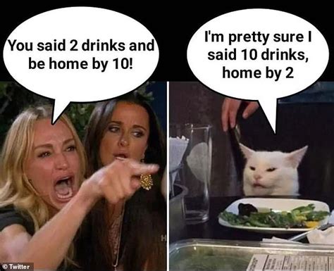 Cat Meme With Woman Origin