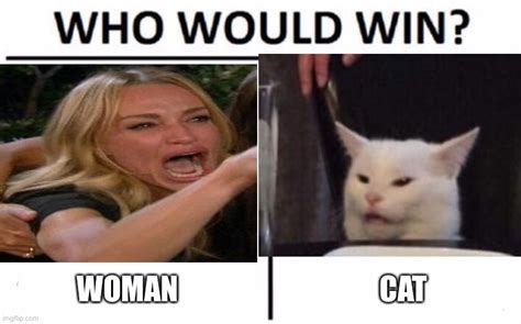 Cat Meme With Woman Words