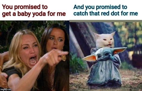 Cat Meme With Woman Yoda