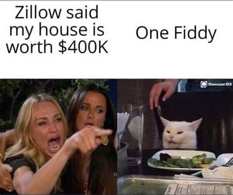 Cat Meme Zillow