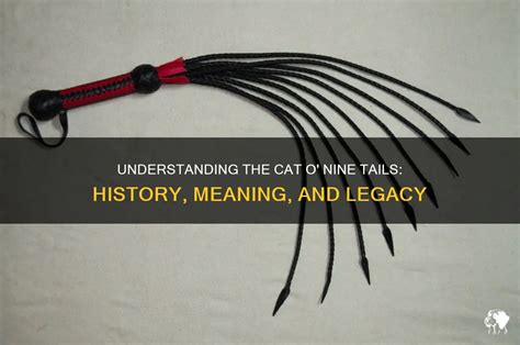 Cat O Nine Tails Meme