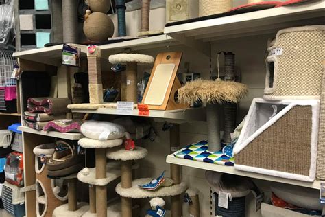 Cat Pet Store