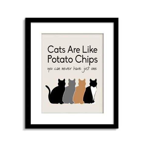 Cat Posters Funny