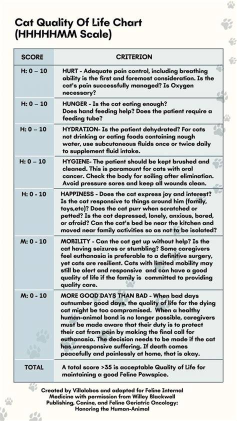 Cat Quality Of Life Chart