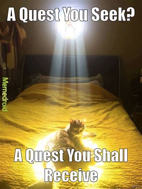 Cat Quest Meme