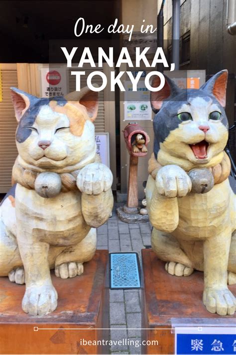 Cat Street Yanaka