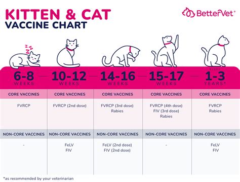 Cat and Kitten Vaccinations PDSA