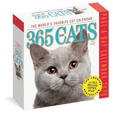 Cat Wars Mini Wall Calendar 2020 eBay