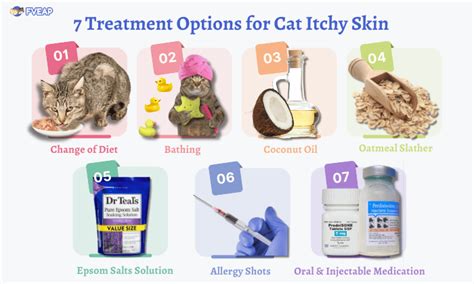 Unleashing the Mystery: Decode the Causes and Cure for Your Cat's Itchy Skin Woes!