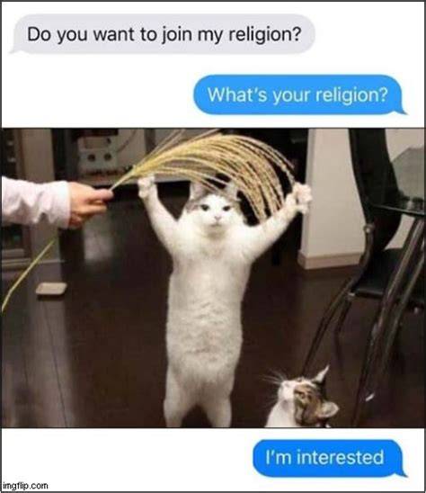 Cat Worship Meme