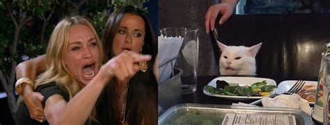 Cat Yelling Meme