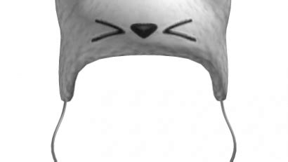 Cat as a Hat - Roblox ID