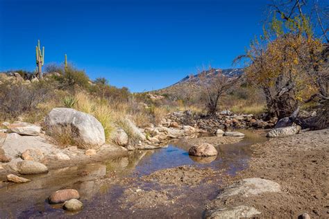 Catalina State Park