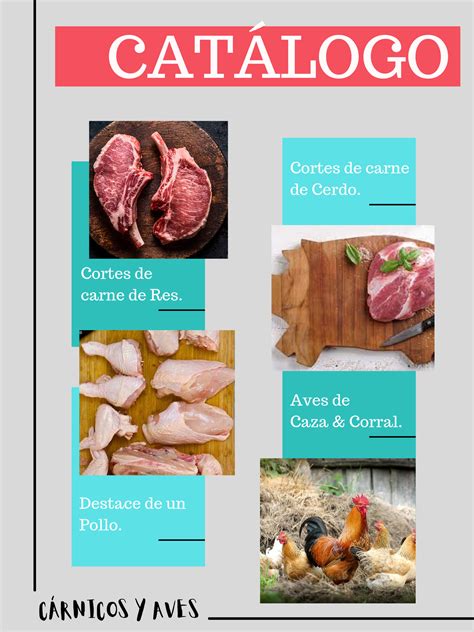 Catalogo De Carnes