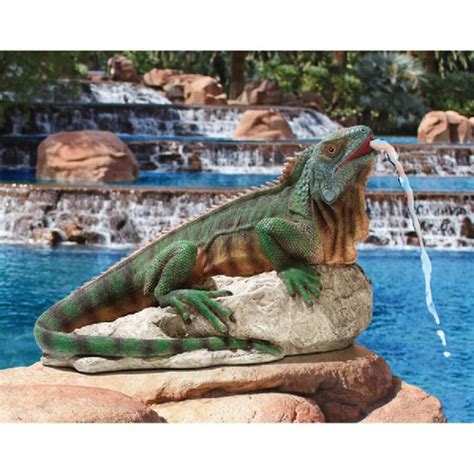 Catalogs That Feature Iguana Outdoor Decor