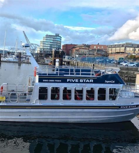 Catamaran Whale Watching