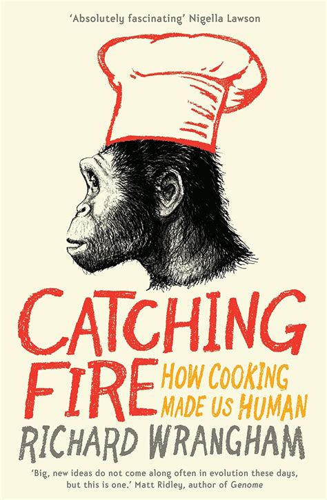 Catching Fire: How Cooking Made Us Human