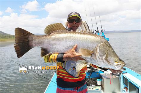 Catching barramundi