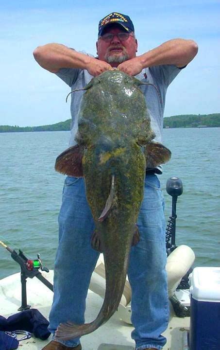 Catfish Fishing Lures Chickamauga Lake