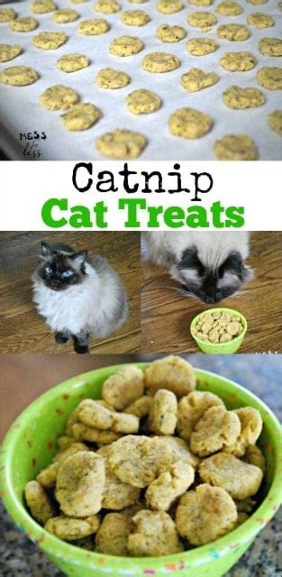 Catnip Recipes For Cats
