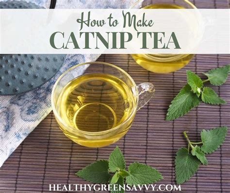 Catnip Tea Recipe For Cats