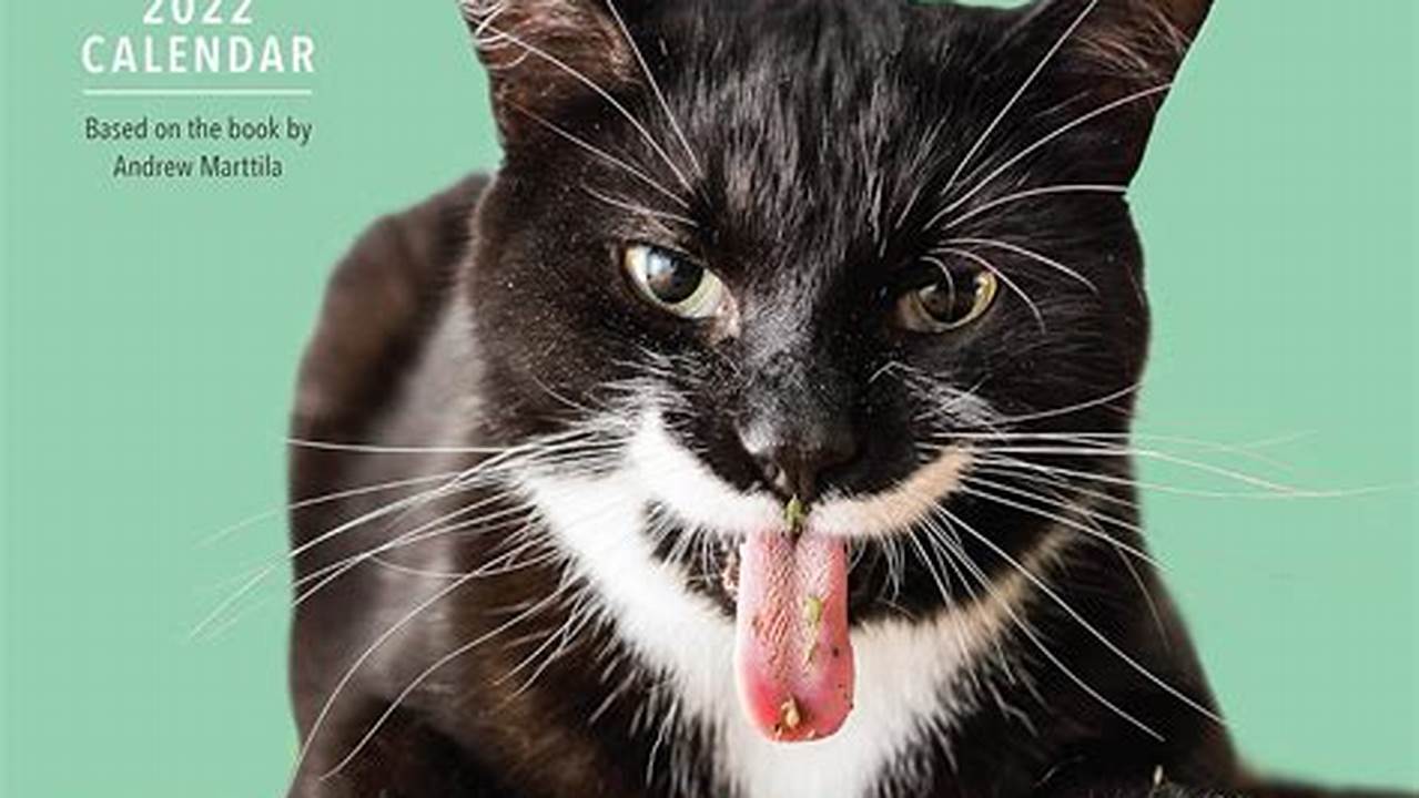 Cats On Catnip Calendar