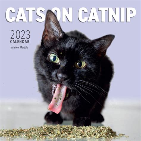 2023 Cats On Catnip Calendar Is Here!