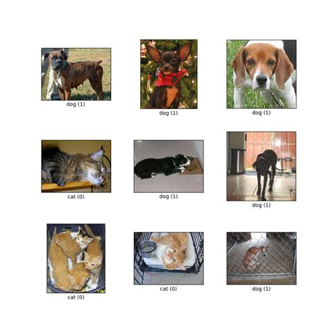 Cats vs Dogs Dataset