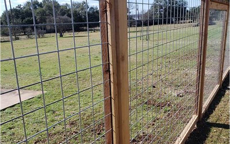 Cattle Panel Privacy Fence: The Ultimate Guide