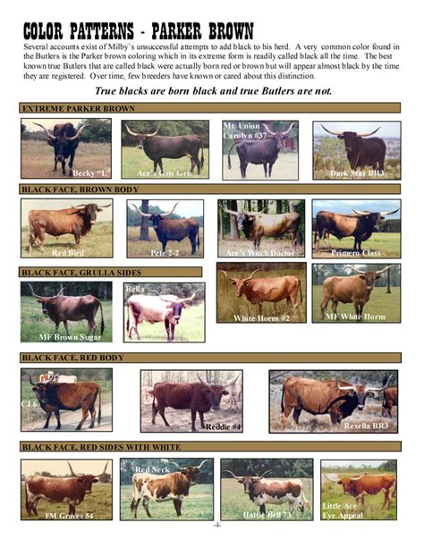 Discover the Perfect Coat Color for Your Cattle with Our Innovative Cattle Coat Color Calculator