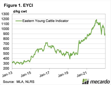 Cattle Prices Chart