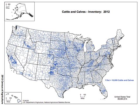 404 Not Found This is us, Geography, Cow