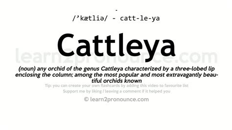 Cattleya Name Pronunciation