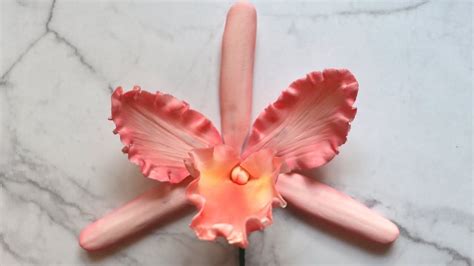 Cattleya Orchid Gumpaste Tutorial
