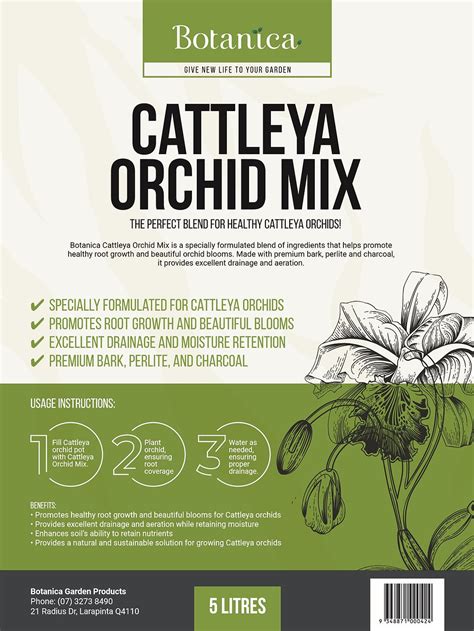 Cattleya Orchid Mix