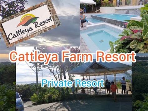 Cattleya Resort Address