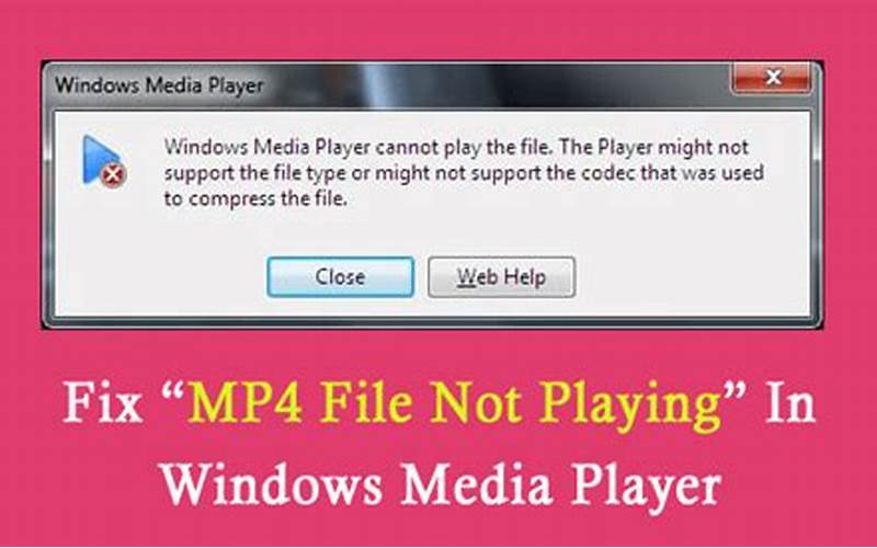 Causes Of Mp4 Videos Not Playing On Windows Media Player
