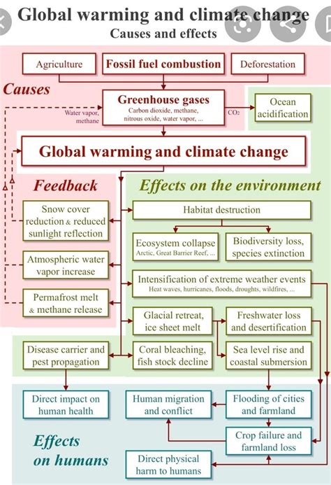 Causes And Effects Of Climate Change Brainly