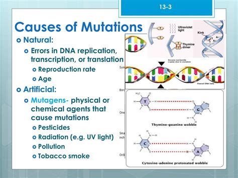 Causes of mutations