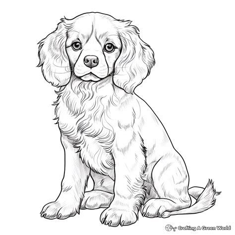 Cavalier Coloring Pages