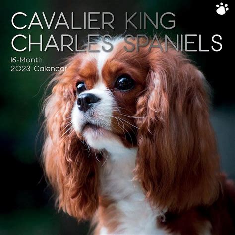 Cavalier King Charles Calendar Dog Breed Pet Prints Inc