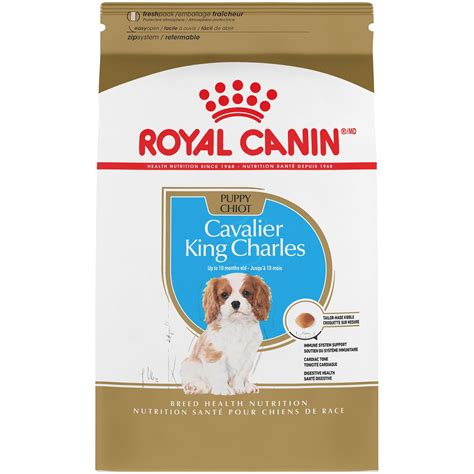 Cavalier Puppy Food