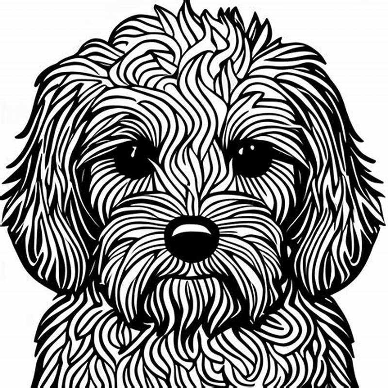 Cavapoo Coloring Page