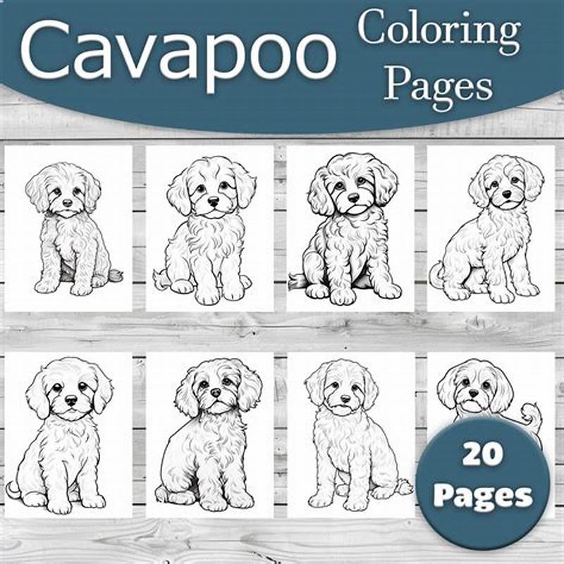 Cavapoo Coloring Pages