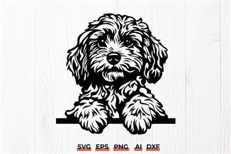 Download Cavapoo SVG File - SVG Design for Cricut