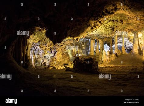 Caves of Hams: Is This Half-Day Tour Actually Worth Your Time?