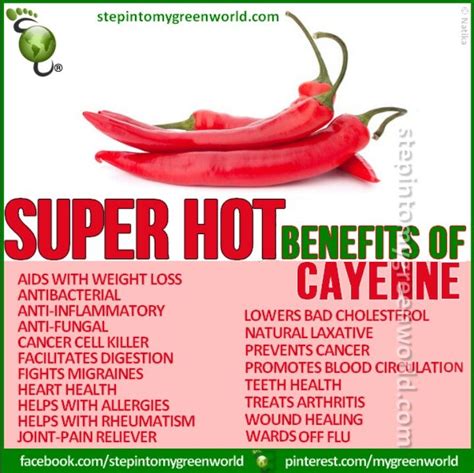 Benefits of cayenne pepper! Health and nutrition, Heart healthy diet