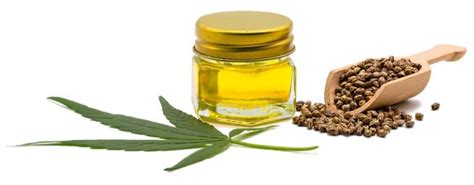 Protect Your Business with CBD Hemp Insurance: Comprehensive Coverage for All Your Needs