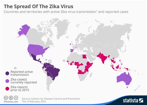 What Is Zika? Everything You Need To Know About The Zika Virus